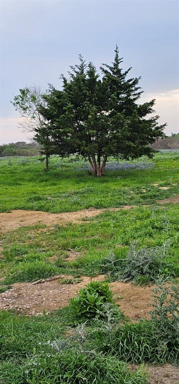 Tbd County Road 212 Property Photo 28