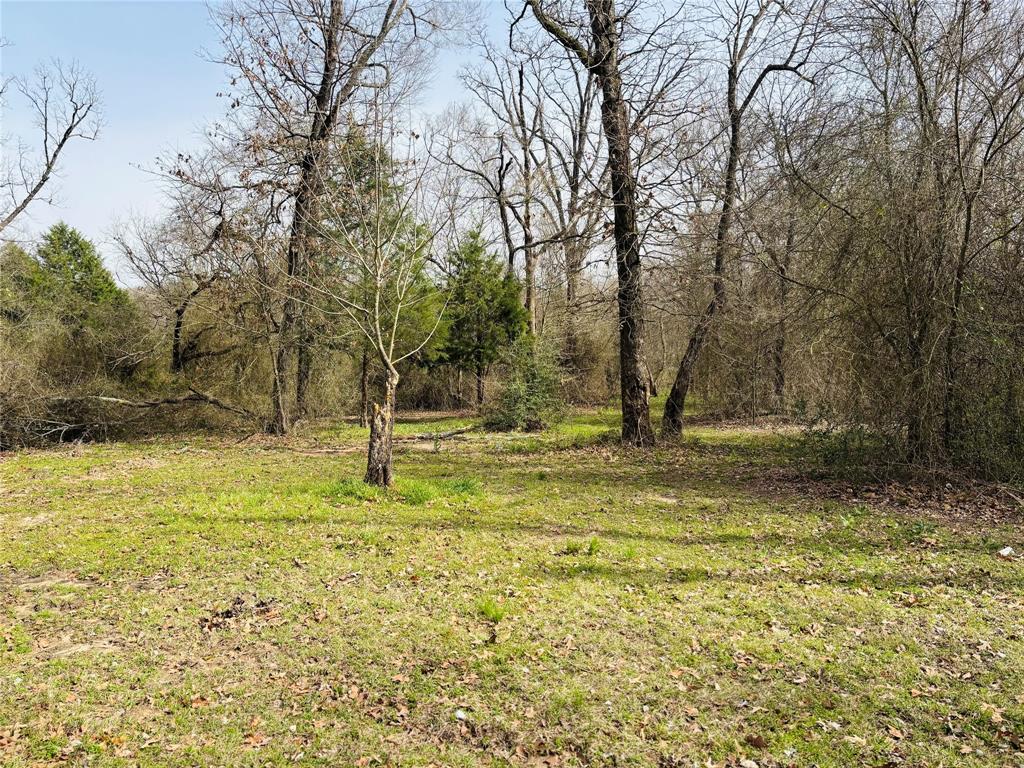13316 Fm 2329 Property Photo