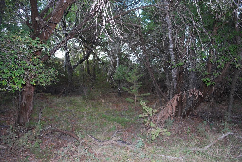 1455 Twin Oak Drive Property Photo 9