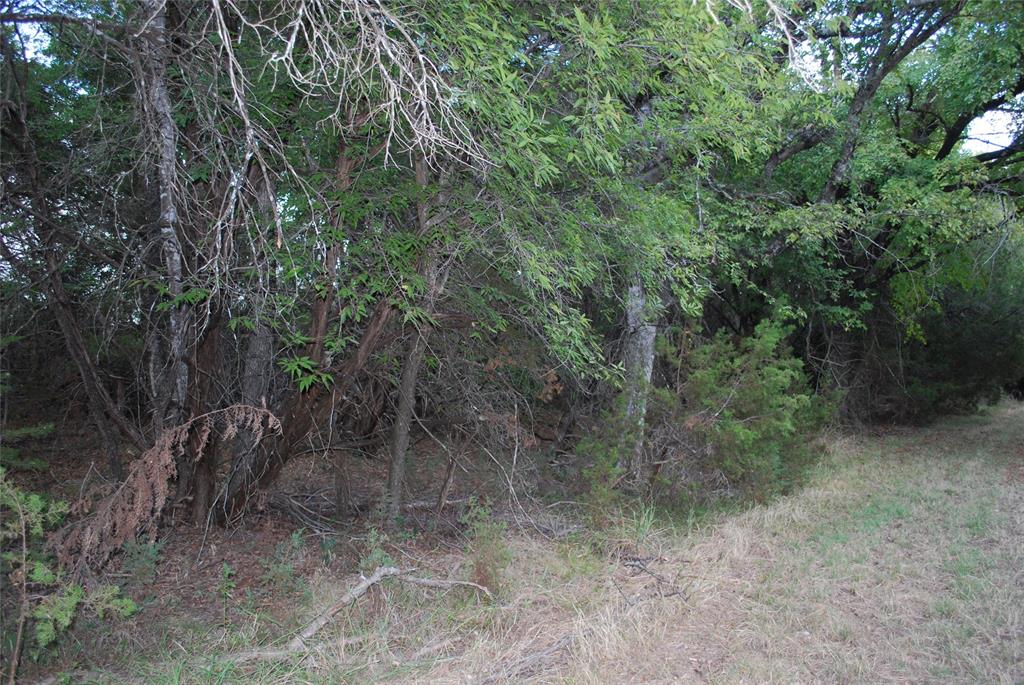 1455 Twin Oak Drive Property Photo 10