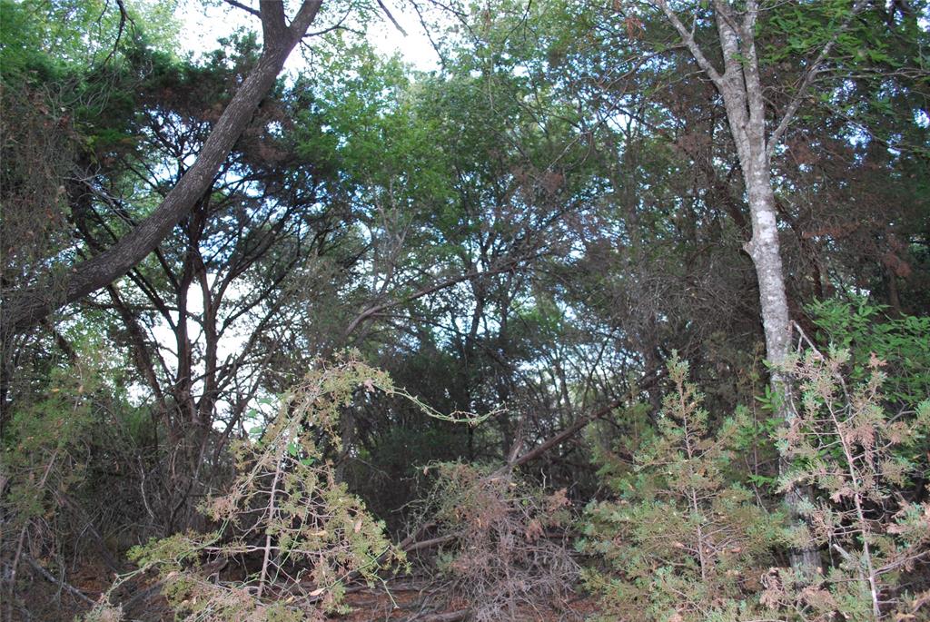 1455 Twin Oak Drive Property Photo 11