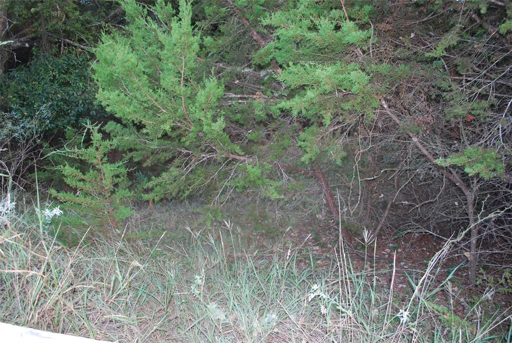 1455 Twin Oak Drive Property Photo 12