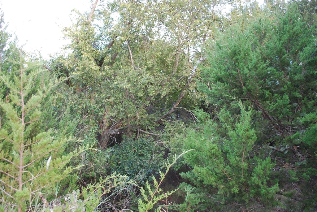 1455 Twin Oak Drive Property Photo 13