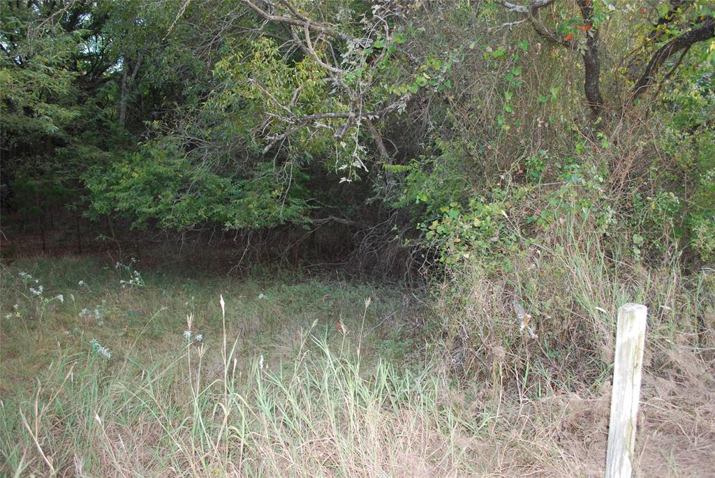 1455 Twin Oak Drive Property Photo 14