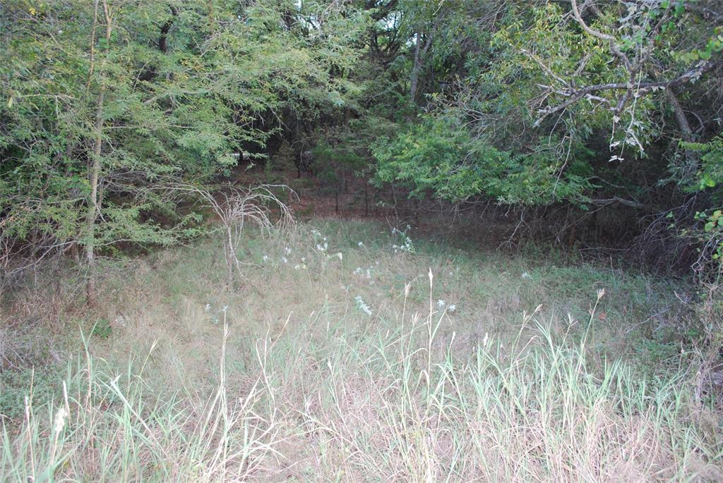 1455 Twin Oak Drive Property Photo 15