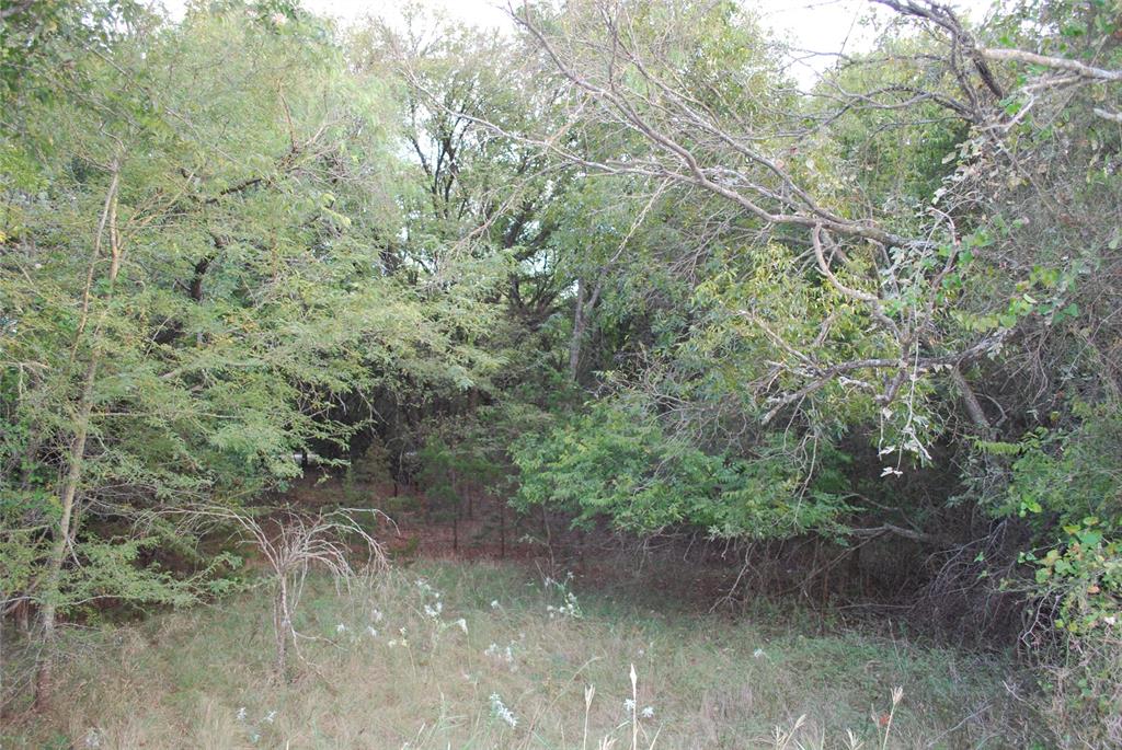 1455 Twin Oak Drive Property Photo 16