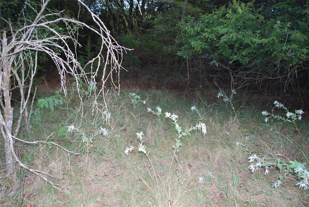 1455 Twin Oak Drive Property Photo 17