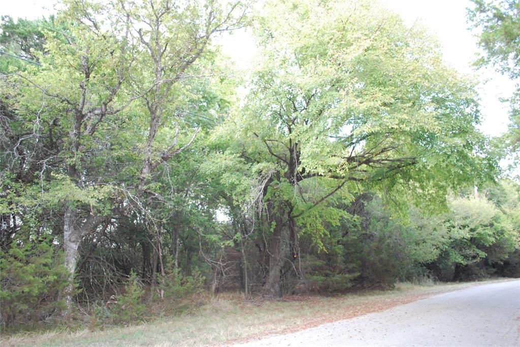 1455 Twin Oak Drive Property Photo 18