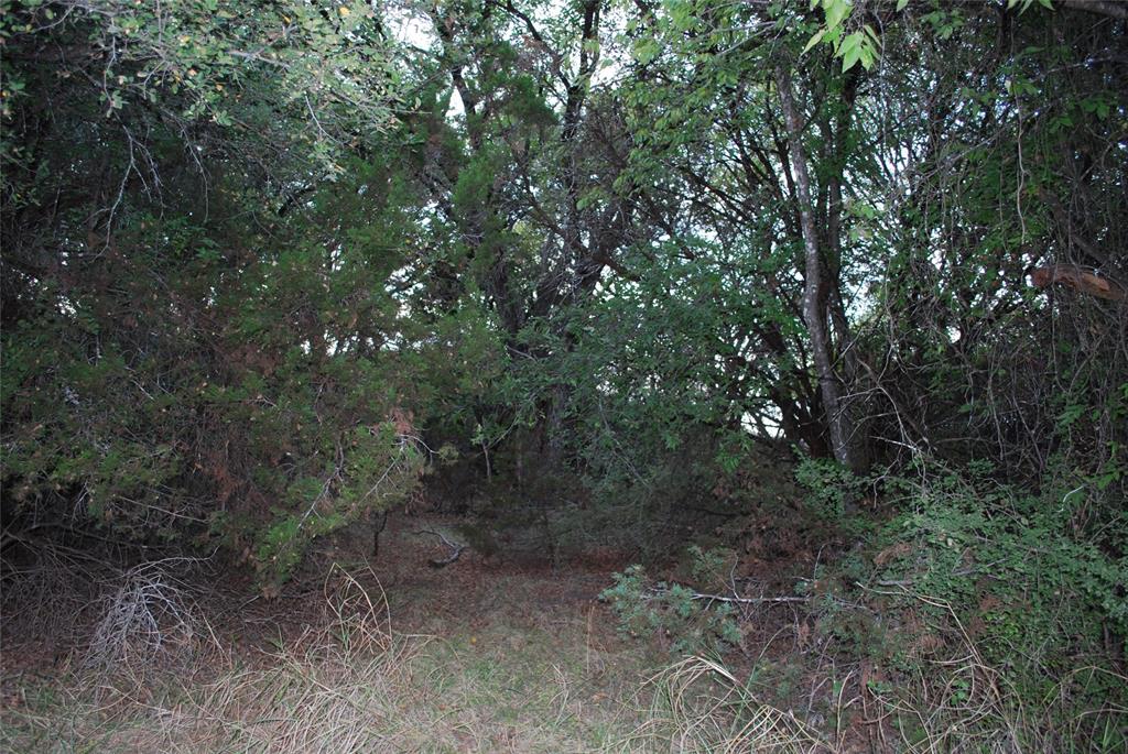 1455 Twin Oak Drive Property Photo 19