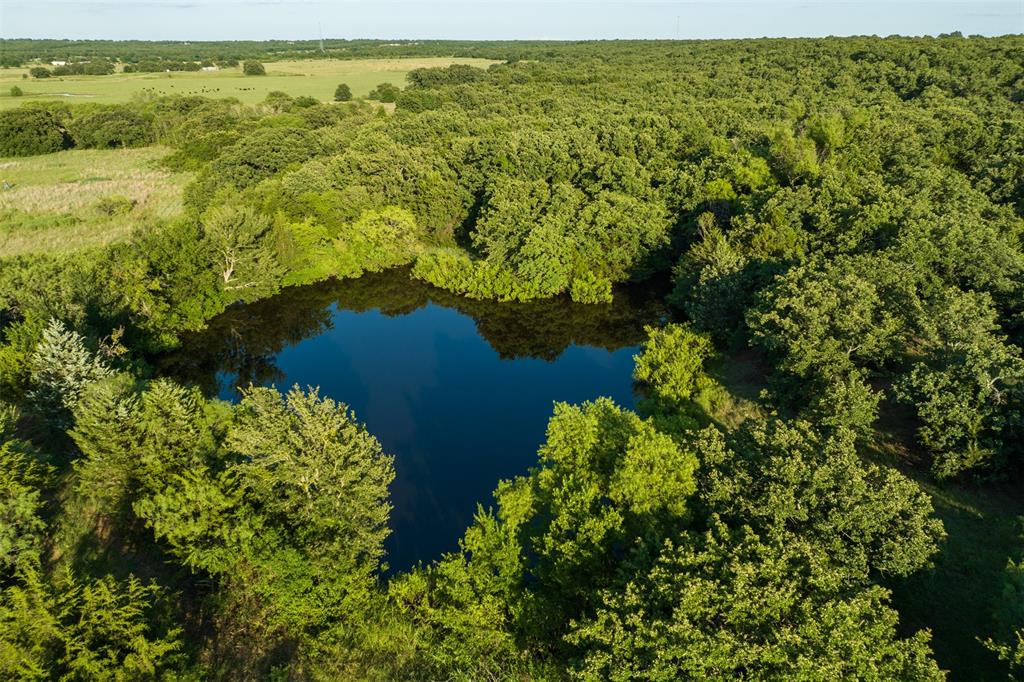 Tbd Fm 2127 Property Photo 1