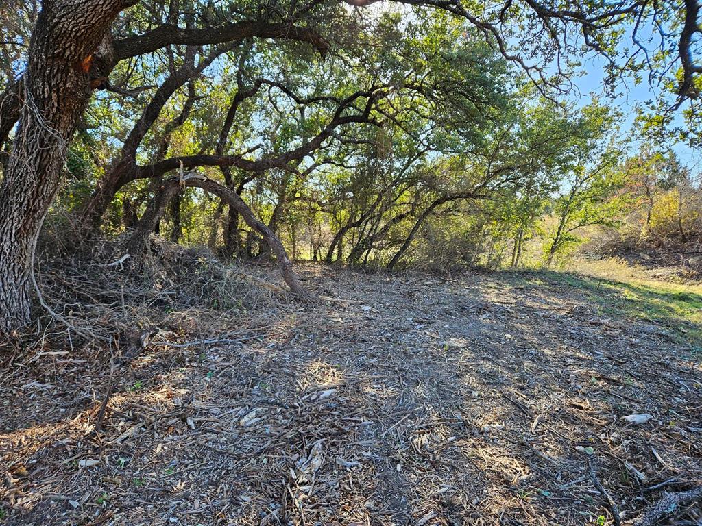 442 Hollow Drive Property Photo 7