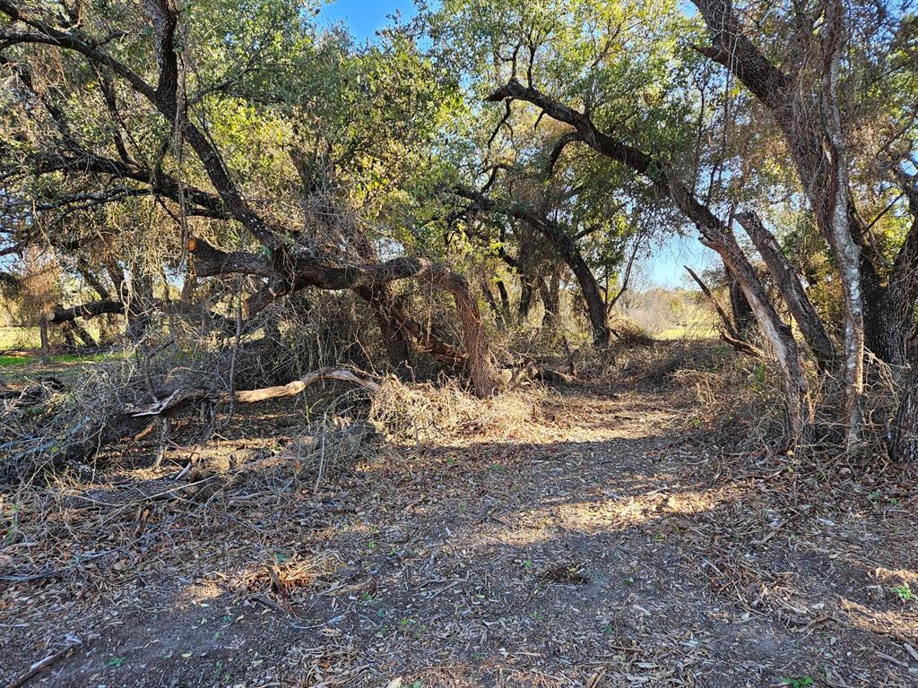 442 Hollow Drive Property Photo 12