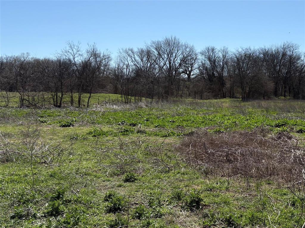 Tdb County Road 3502 Property Photo
