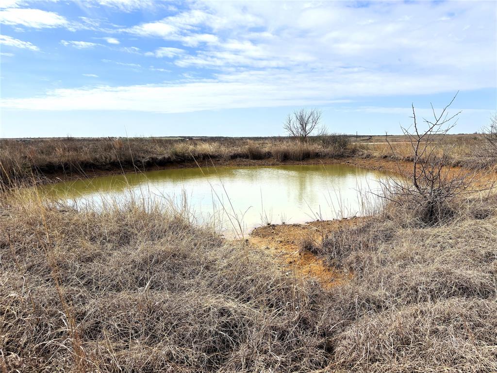 8.39 Acres Fm 174 Property Photo 1