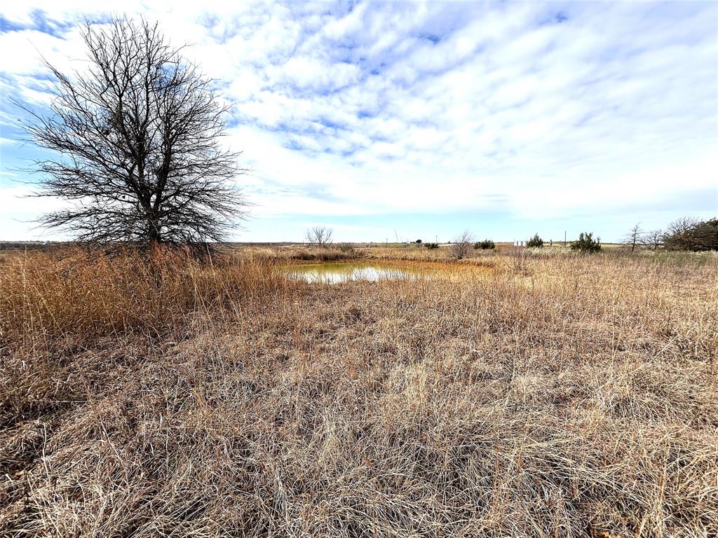 8.39 Acres Fm 174 Property Photo 4