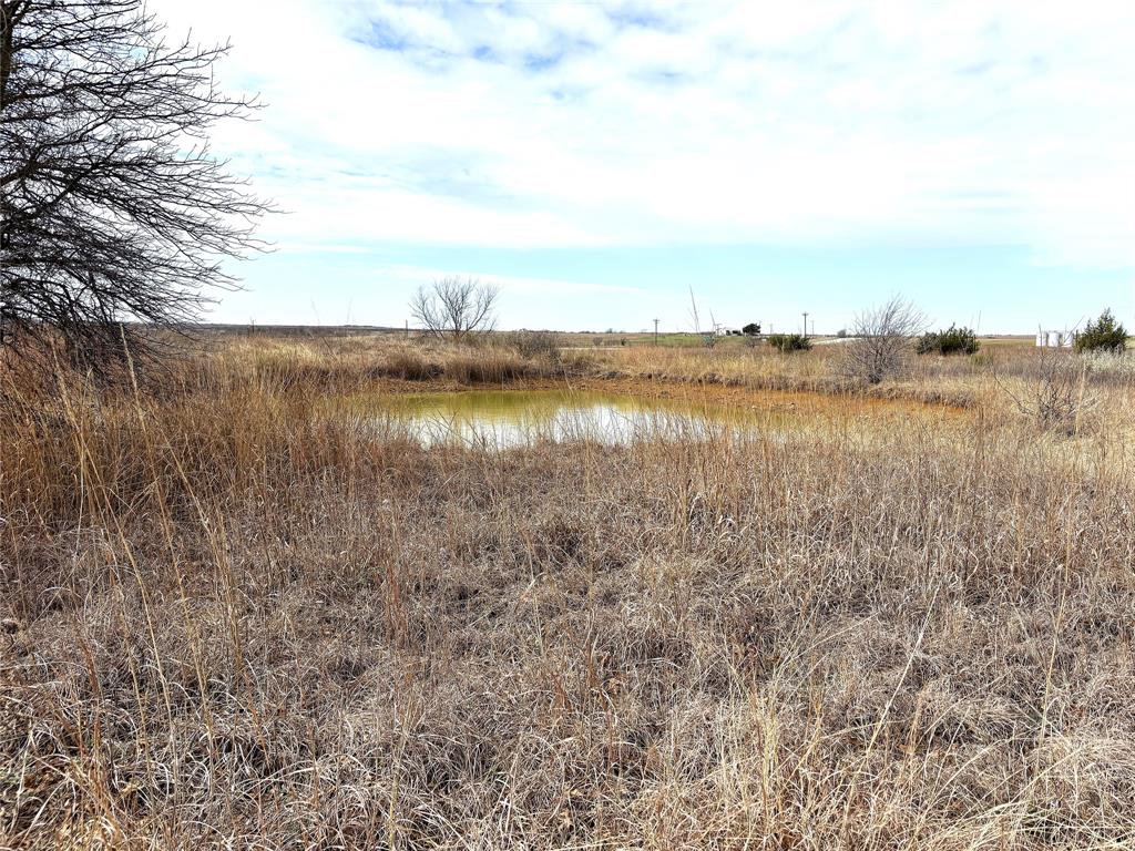 8.39 Acres Fm 174 Property Photo 5