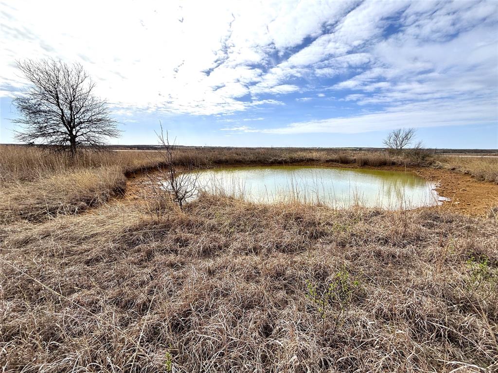 8.39 Acres Fm 174 Property Photo 6