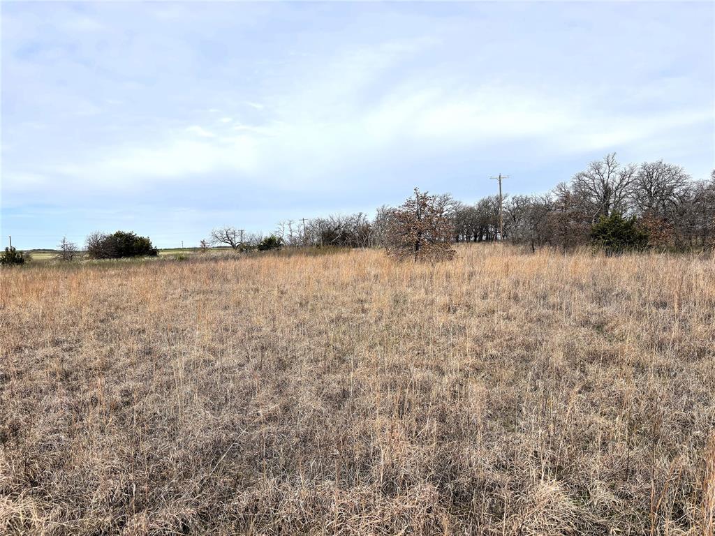 8.39 Acres Fm 174 Property Photo 7