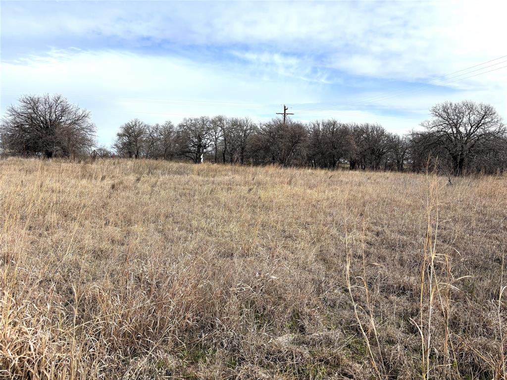 8.39 Acres Fm 174 Property Photo 8