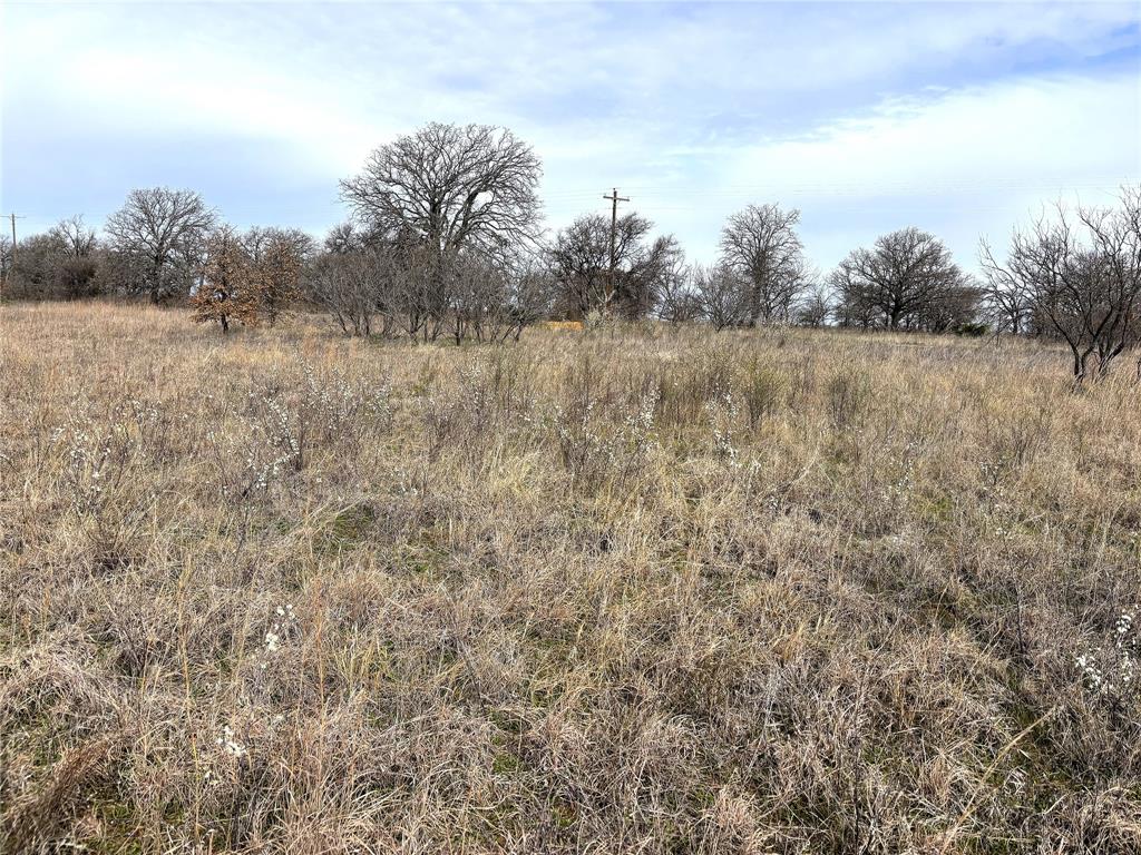8.39 Acres Fm 174 Property Photo 10