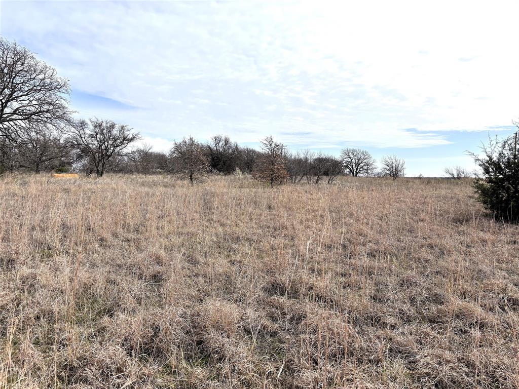8.39 Acres Fm 174 Property Photo 11