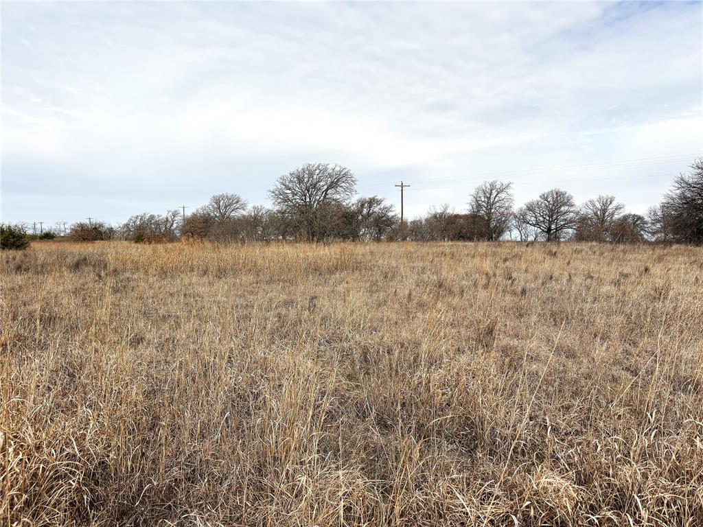 8.39 Acres Fm 174 Property Photo 12