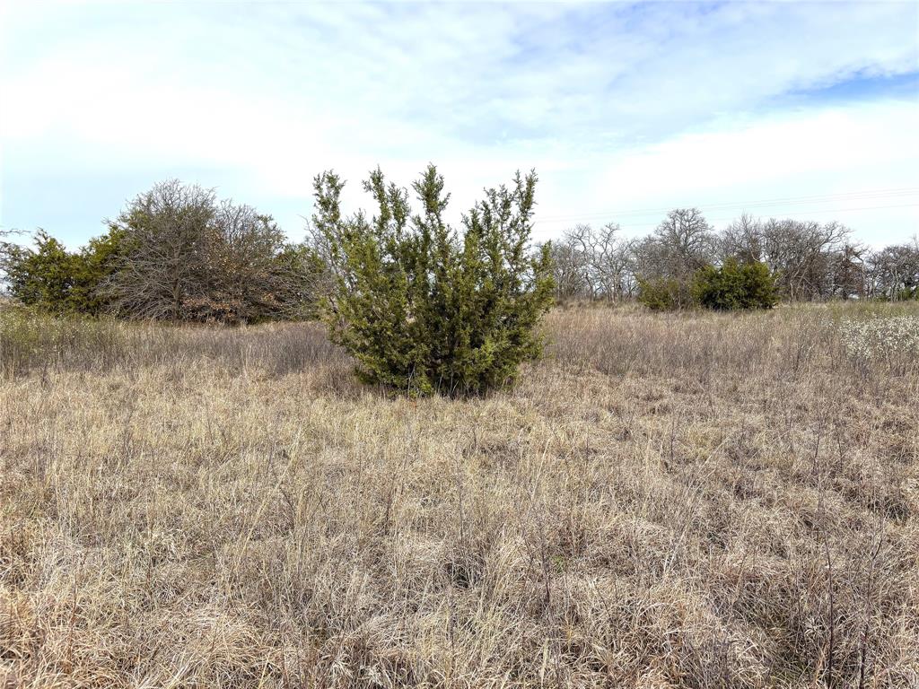 8.39 Acres Fm 174 Property Photo 13