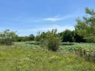 1770 County Road 2116 Property Photo 9