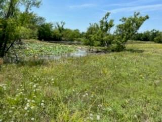 1770 County Road 2116 Property Photo 11