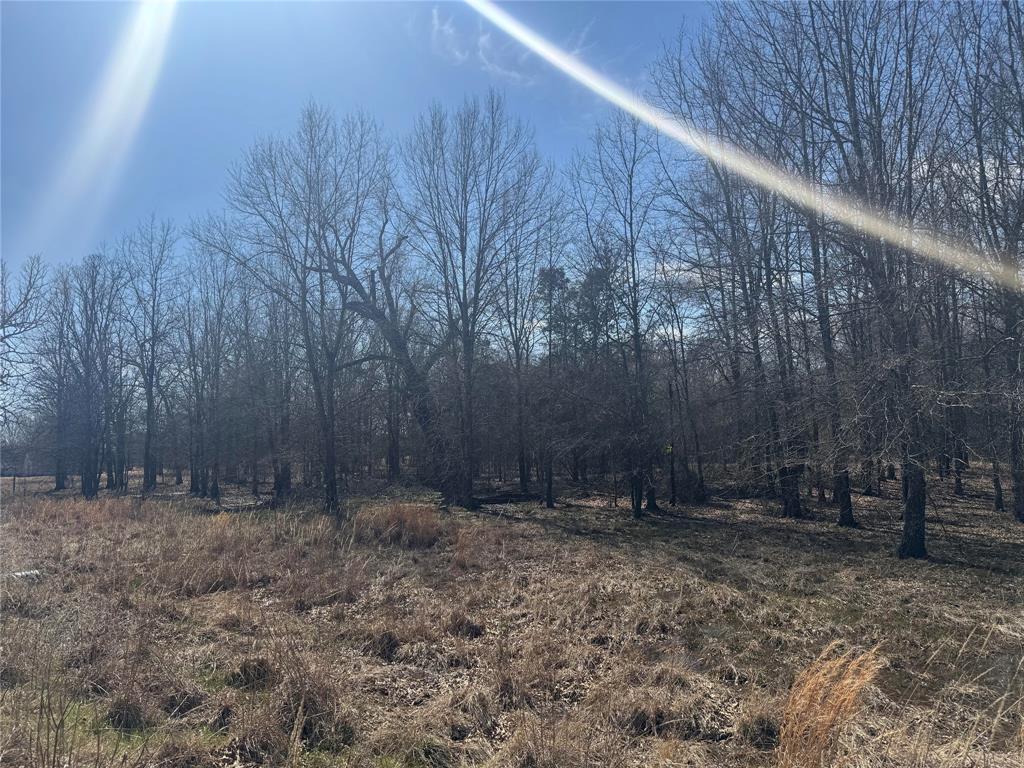 Lot 23 Pr 44005 Road Property Photo