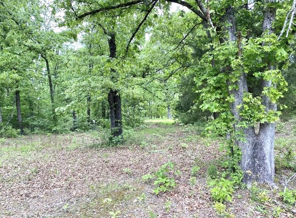 Tbd 3298 Fm Property Photo