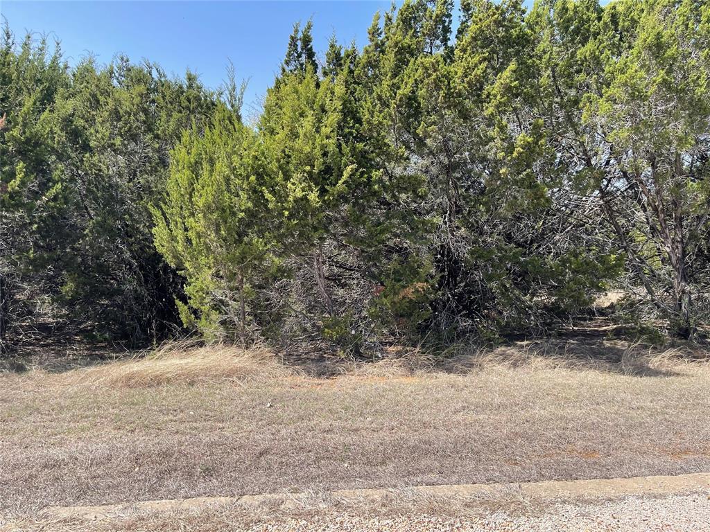 39027 Cedar Trail Property Photo 1