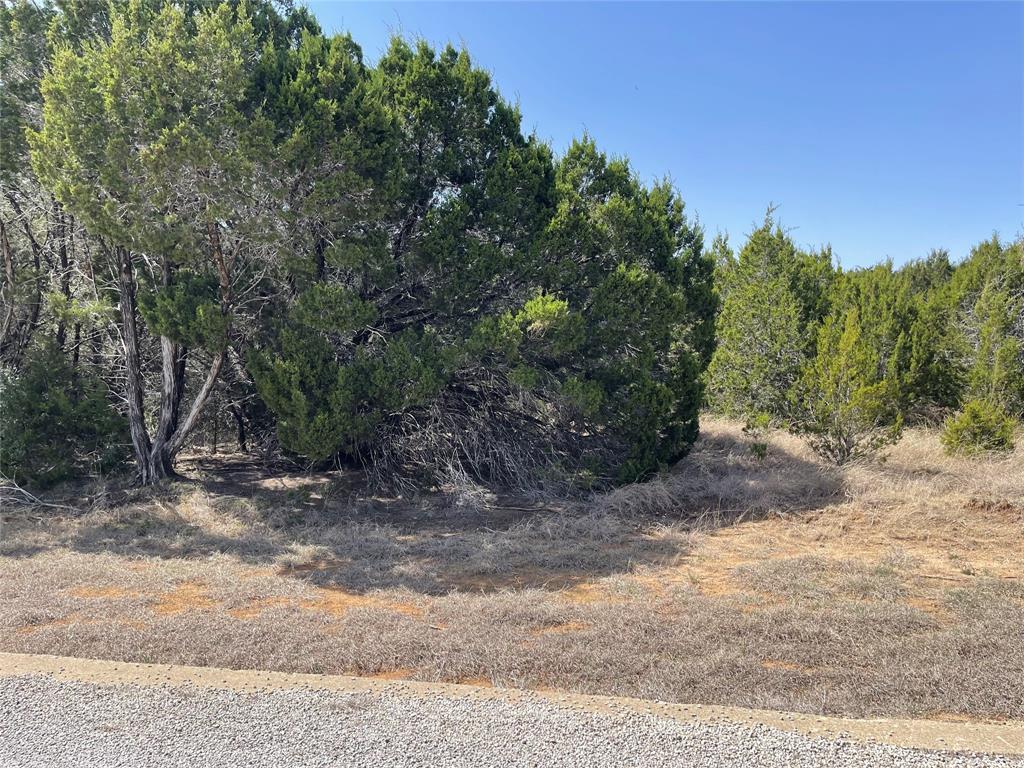 39027 Cedar Trail Property Photo 2