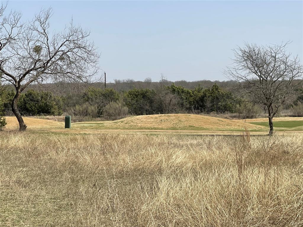 39027 Cedar Trail Property Photo 3