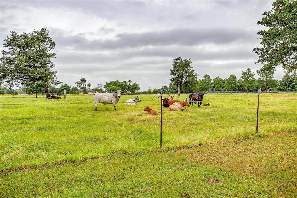 8931 County Road 313 Property Photo