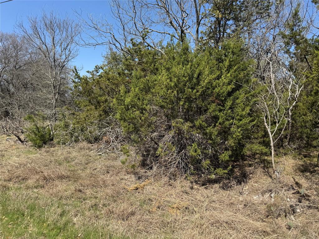 17151 Woodway Drive Property Photo 6