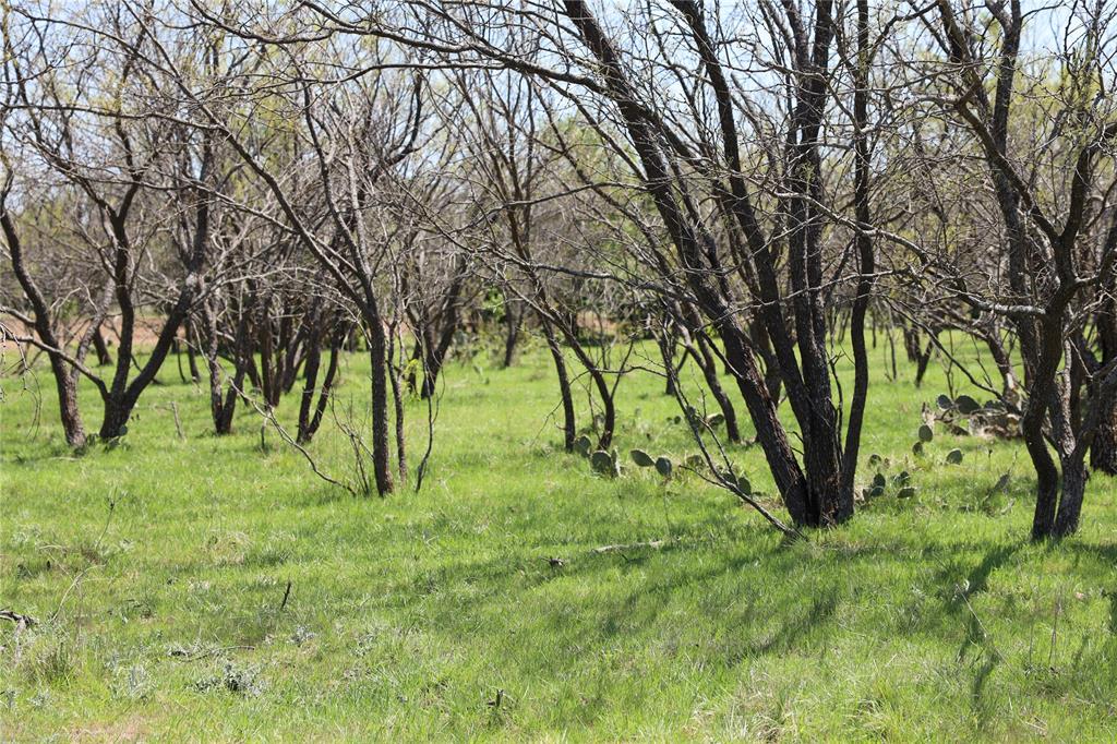 Tbd Mitchell Hill Road Property Photo