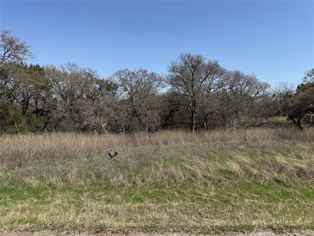 10053 Bluffview Court Property Photo