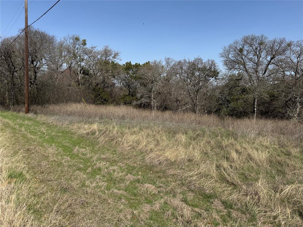 10053 Bluffview Court Property Photo 6