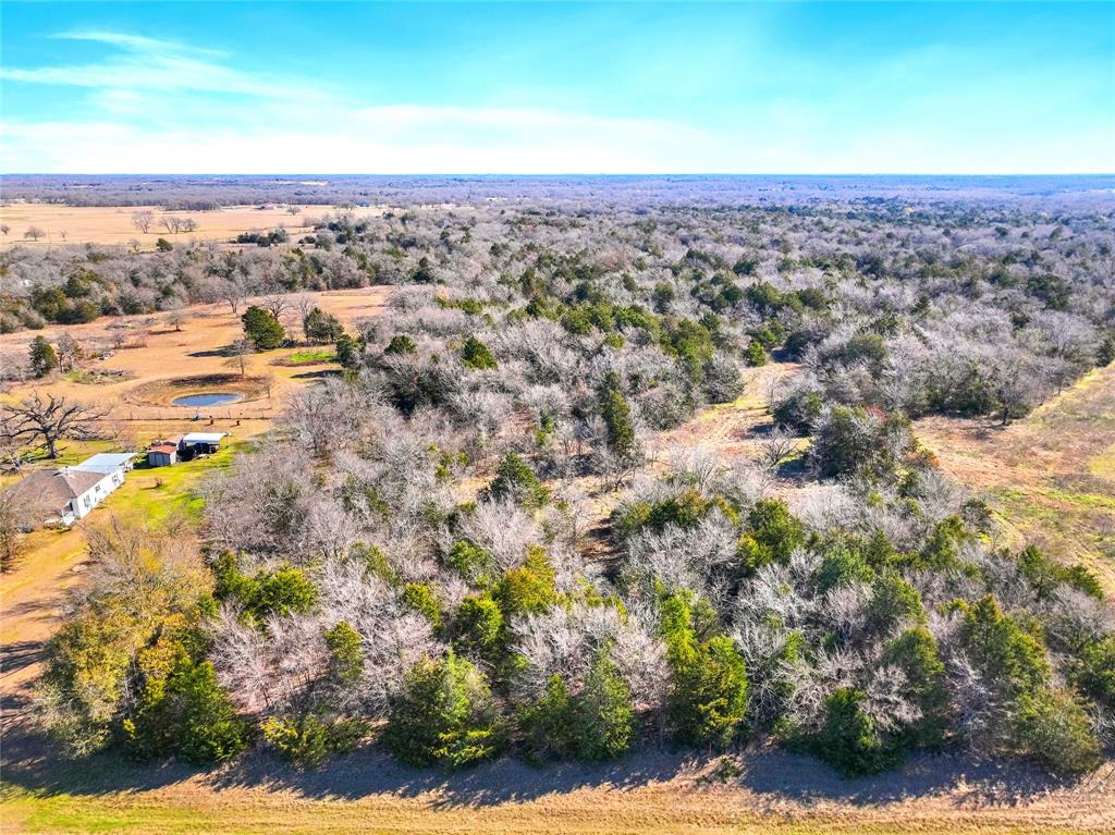 Tract 4 Fm-1366 Property Photo