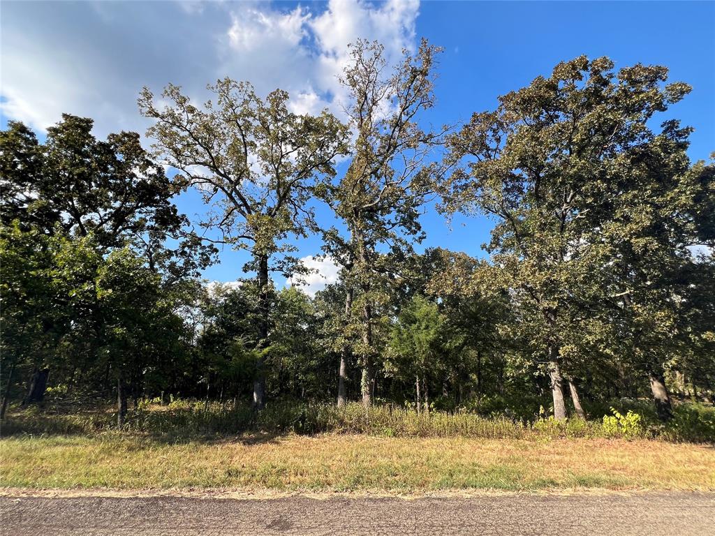 Tbd Nicklaus Drive Property Photo
