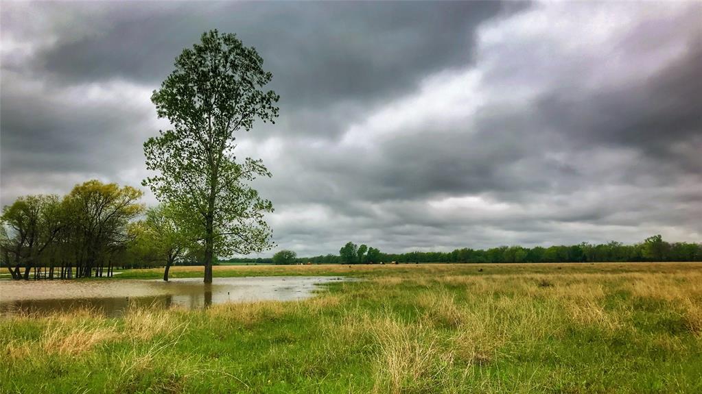 Tbd County Road 26701 Property Photo