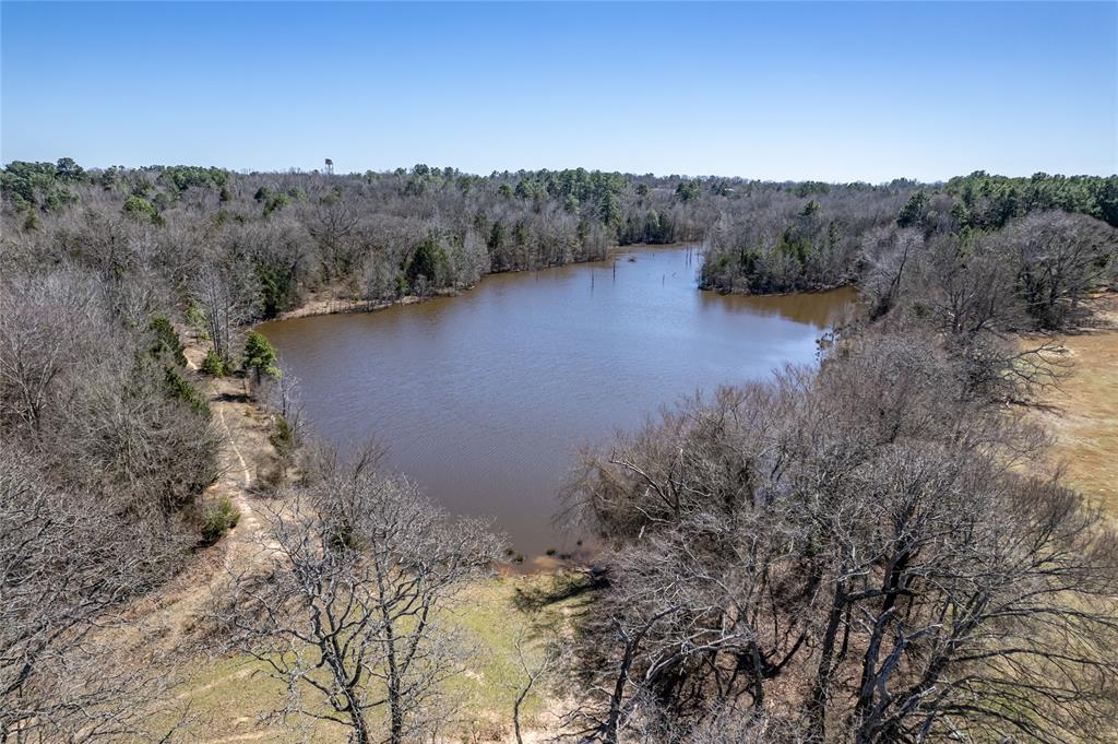 0 Hwy 31 Property Photo