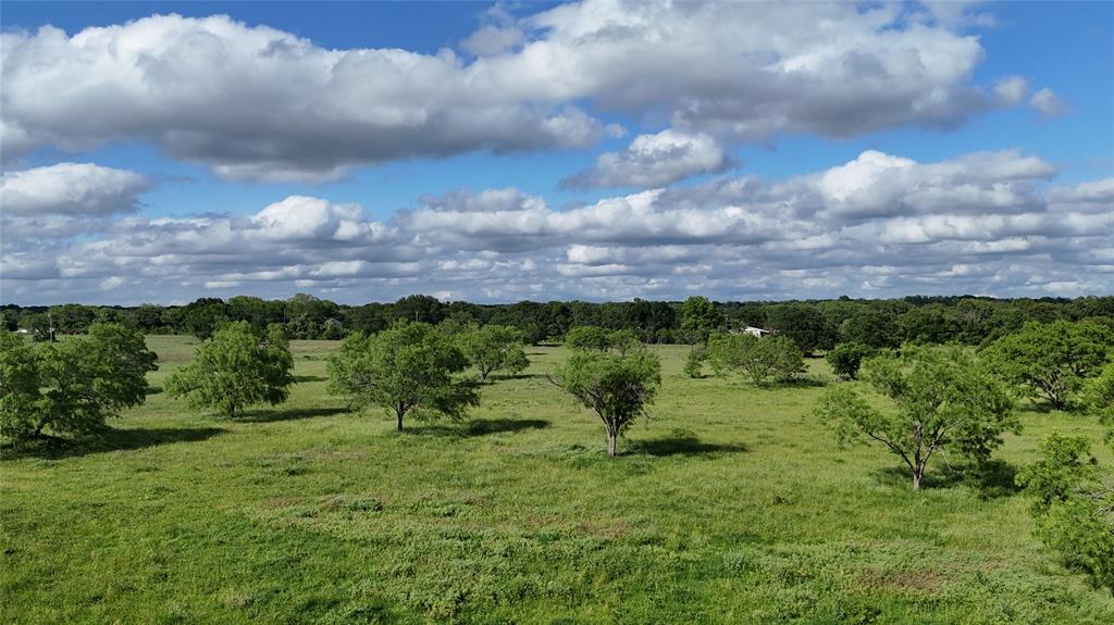 Tbd Tr 8 Cr482 Property Photo 7