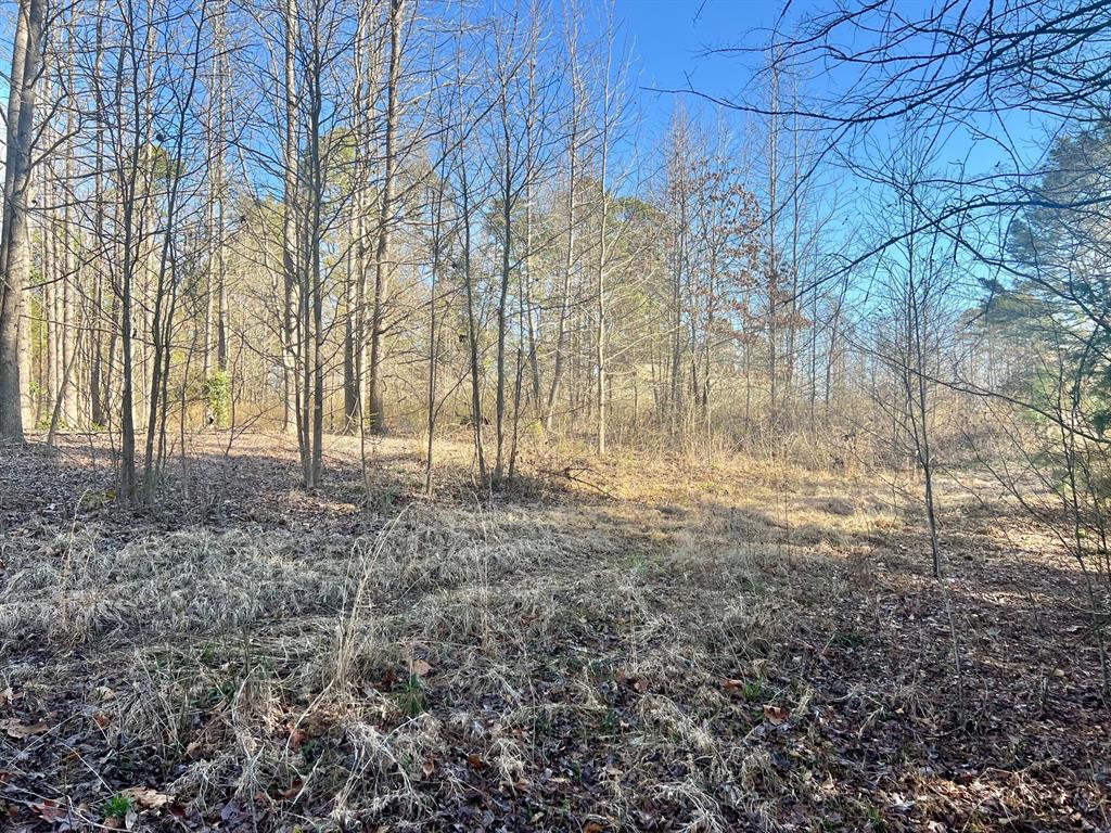 Tbd Cr 1670 Property Photo 2