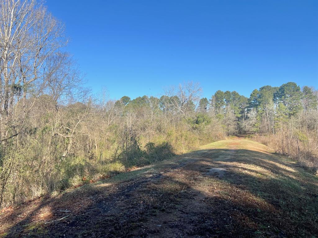 Tbd Cr 1670 Property Photo 3