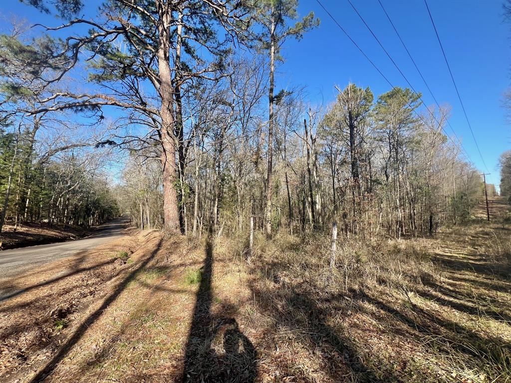 Tbd Cr 1670 Property Photo 5
