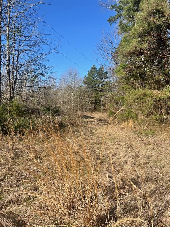 Tbd Cr 1670 Property Photo 7