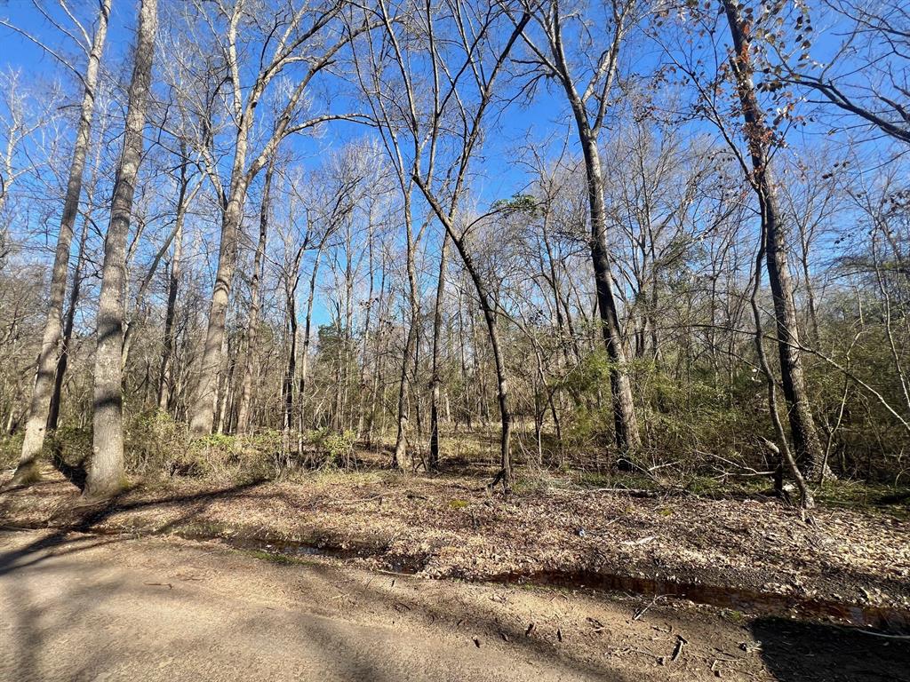Tbd Cr 1670 Property Photo 8
