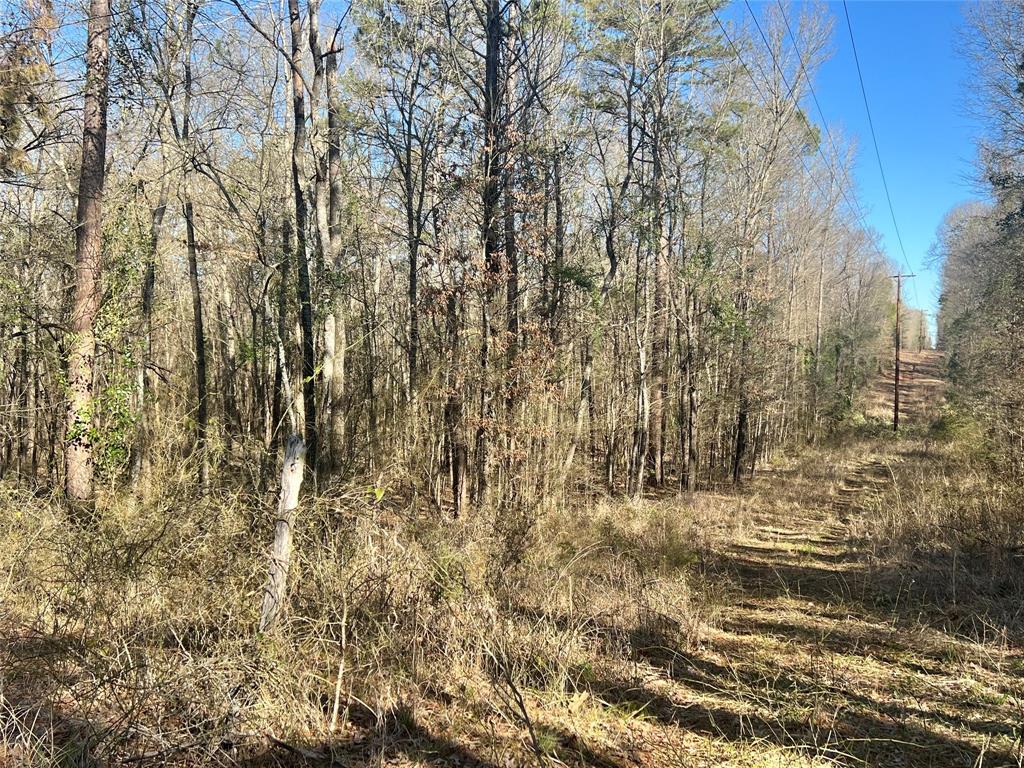 Tbd Cr 1670 Property Photo 11